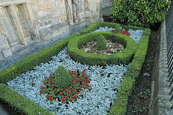 IMGL7755 - MUSEUM GARDENS