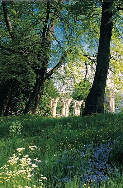  - YORK AGAINST CANCER CALENDAR 2010
