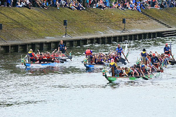 IMGL6840 - DRAGON BOAT RACE 2014 York Rotary Club