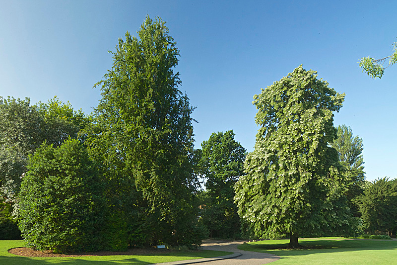 JULY 2014  -15 - FOUR SEASONS MUSEUM GARDENS