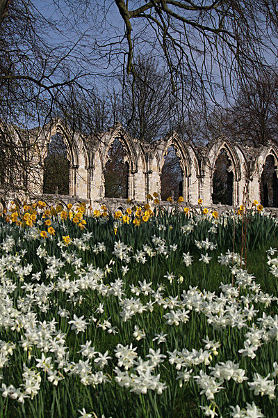 5975349 - MUSEUM GARDENS