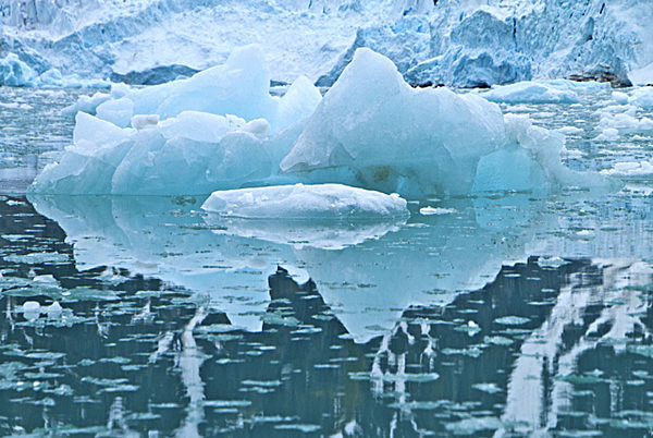 IMG_7649  BLUE  ICE FLOWER MONACO GLACIER SVALBAD - LIGHT & LAND PHOTOGRAPHY EXHIBITION. MALL GALLERIES, LONDON. Sun 23rd March - Sat 29th March 2014