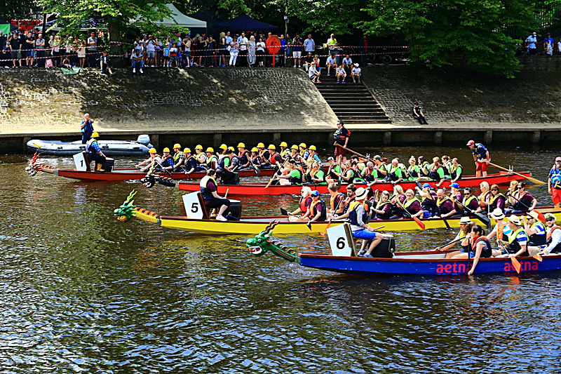 BV6R4349 - DRAGON BOAT RACE 2017