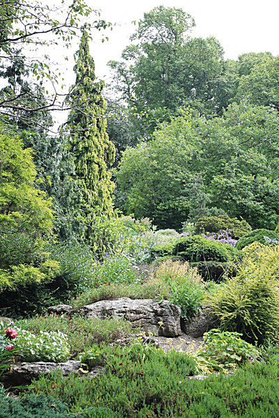 IMG_7543 - MUSEUM GARDENS