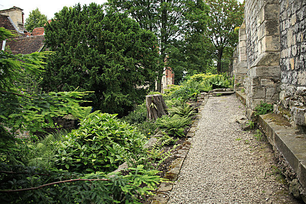 IMG_7664 - MUSEUM GARDENS