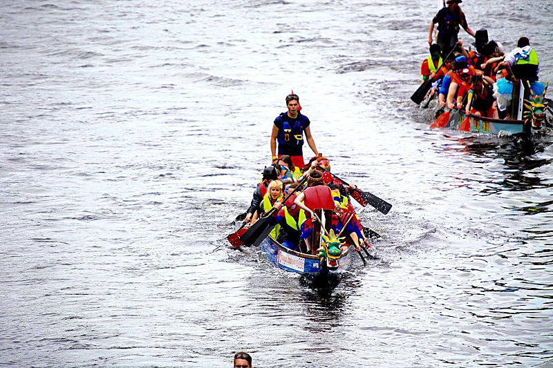 DRAGON BOAT RACE 10 July 2016 - 184 of 549 - DRAGON BOAT RACES 2016 York Rotary Club