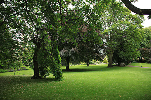 IMG_7558 - MUSEUM GARDENS