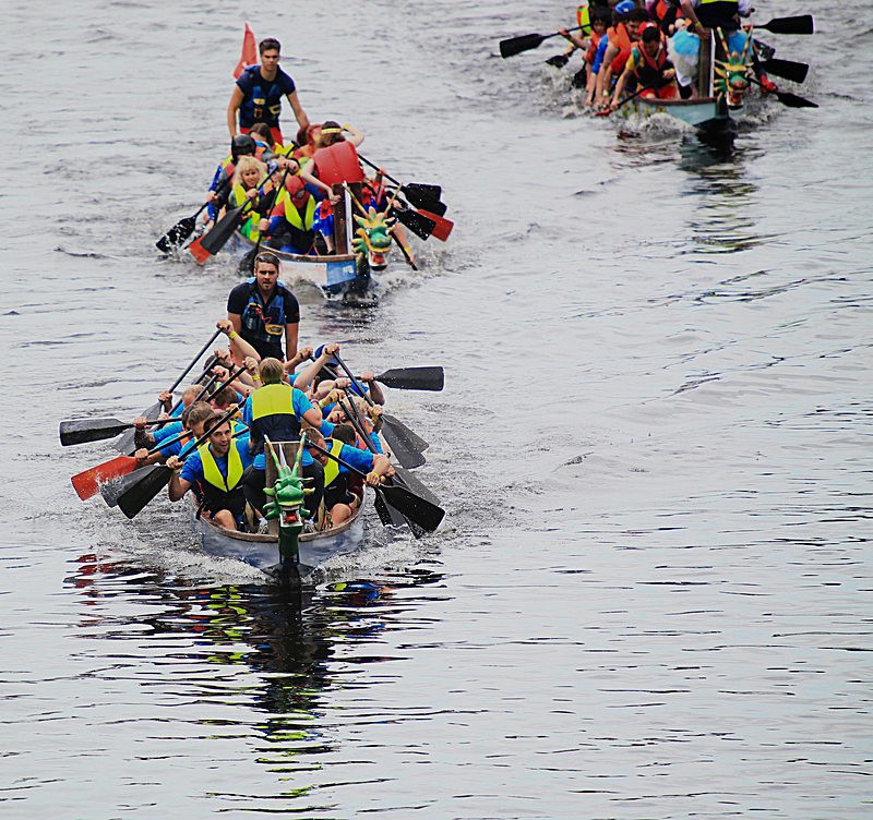 DRAGON BOAT RACE 10 July 2016 - 178 of 549 - DRAGON BOAT RACES 2016 York Rotary Club