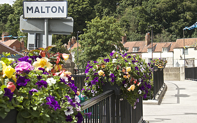 IMG_7595 - MALTON IN BLOOM 2017