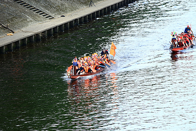 BV6R4231 - DRAGON BOAT RACE 2017