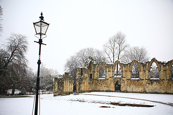 IMG_7694 2 - MUSEUM GARDENS