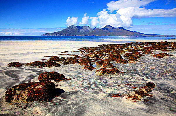 20100826_0173_2 - SCOTLAND 2010