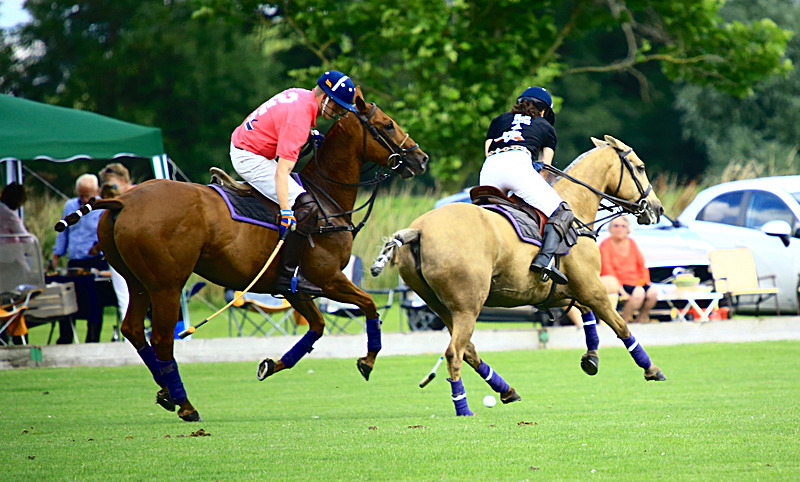BV6R6826 - WHITE ROSE POLO CLUB LADIES DAY