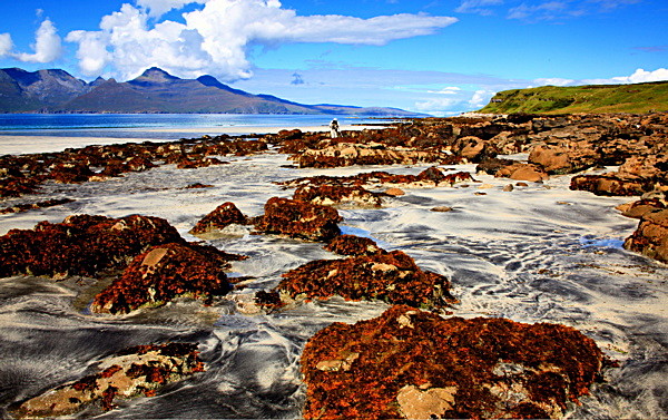 20100826_0171_2 - SCOTLAND 2010