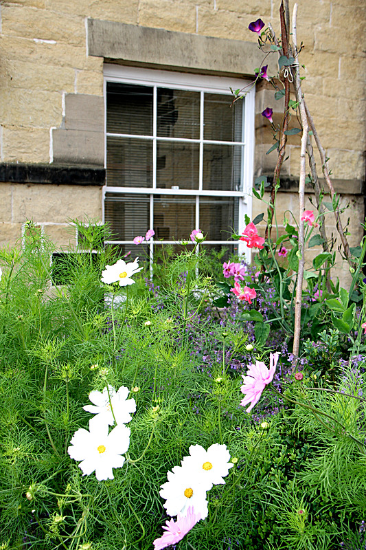 IMG_7264_2 - MALTON IN BLOOM 2017