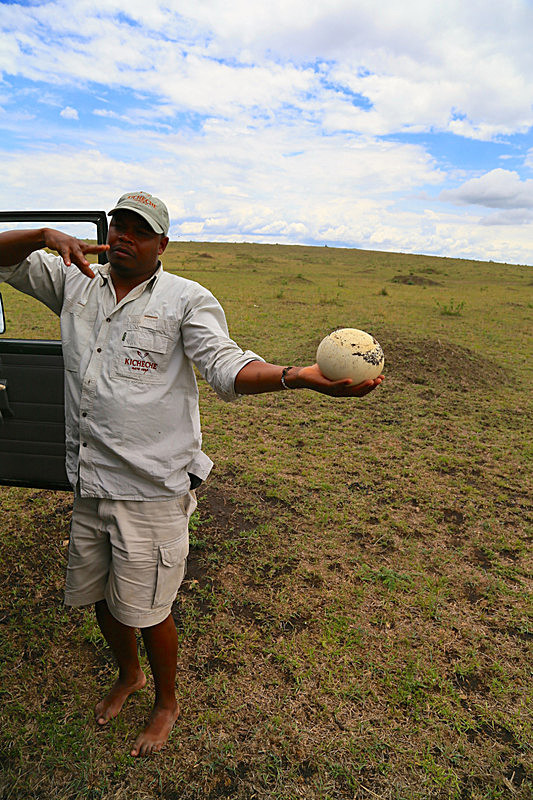  - MASAI MARA, KENYA  OCT 2014