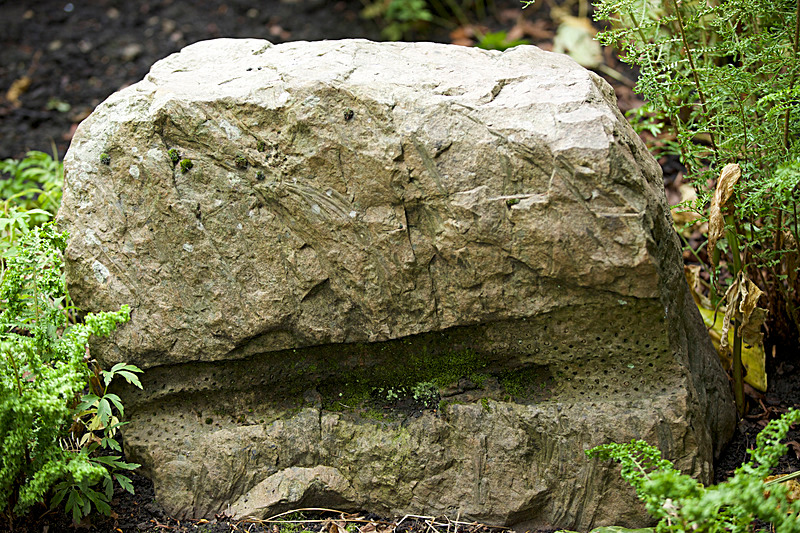 JUNE 2014  -11 - FOUR SEASONS MUSEUM GARDENS