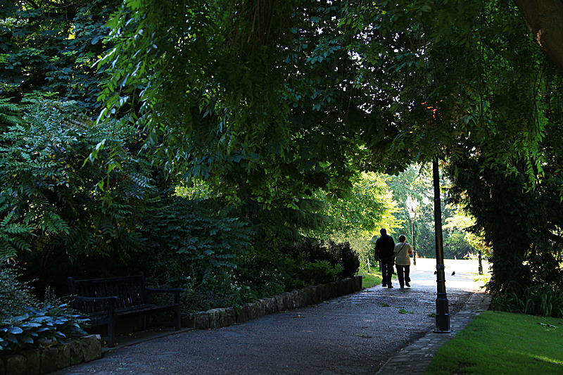 JUNE 2015-20 - FOUR SEASONS MUSEUM GARDENS