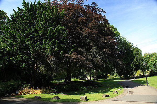 IMG_8198 - MUSEUM GARDENS