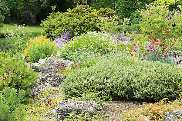 IMGL5570 - MUSEUM GARDENS