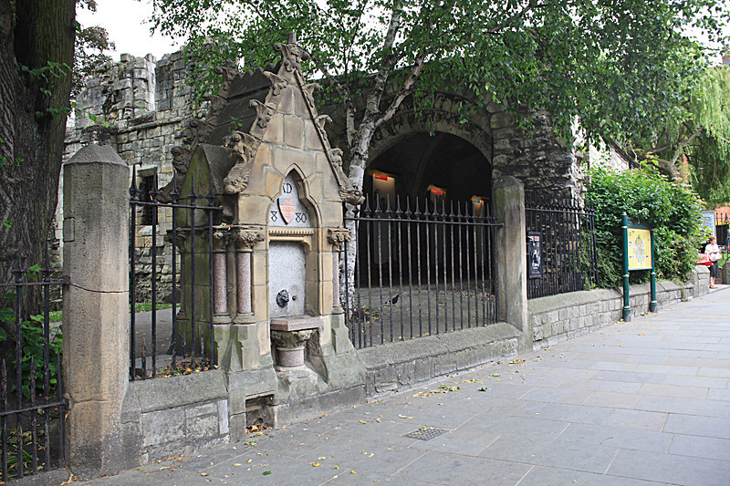 JUNE 2014  -3 - FOUR SEASONS MUSEUM GARDENS