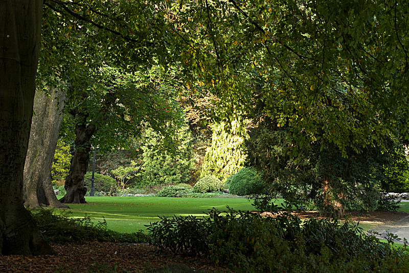 SEPTEMBER  2014   -21 - FOUR SEASONS MUSEUM GARDENS
