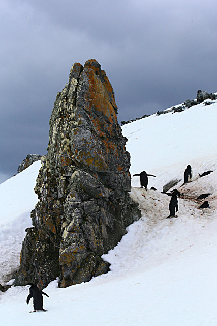  - ANTARCTICA NOV 2014