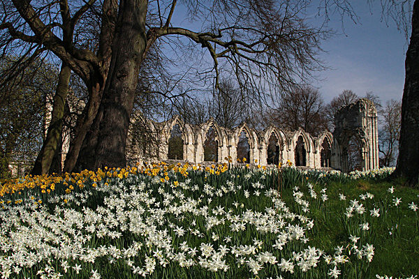 5898741 - MUSEUM GARDENS