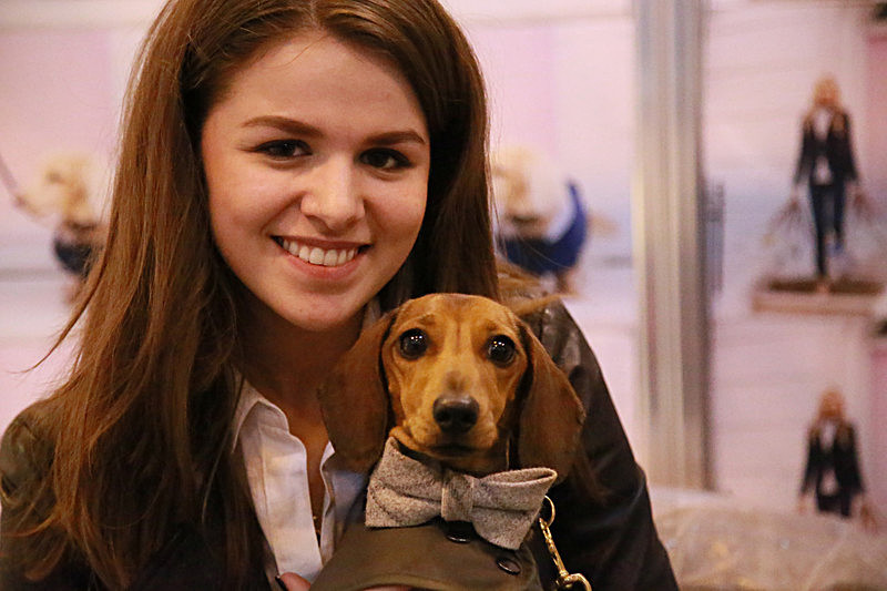 BV6R9524 - TEDDY MAXIMUS at Crufts March 2016. https://teddymaximus.com/