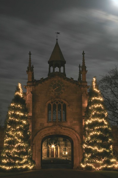 Christmas Lights. - CHRISTMAS