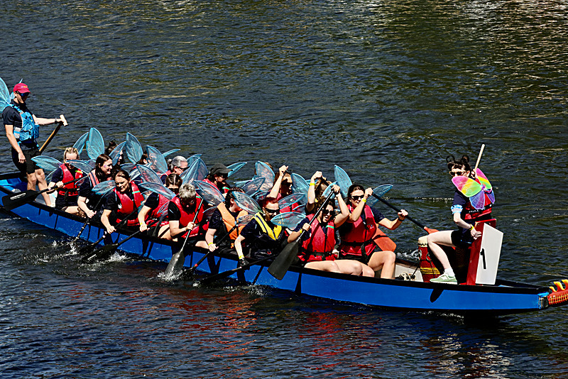 THE YORK ROTARY DRAGON BOAT CHALLENGE 2026 - 208 of 426 - DRAGON BOAT RACE 2026. York Rotary Club.