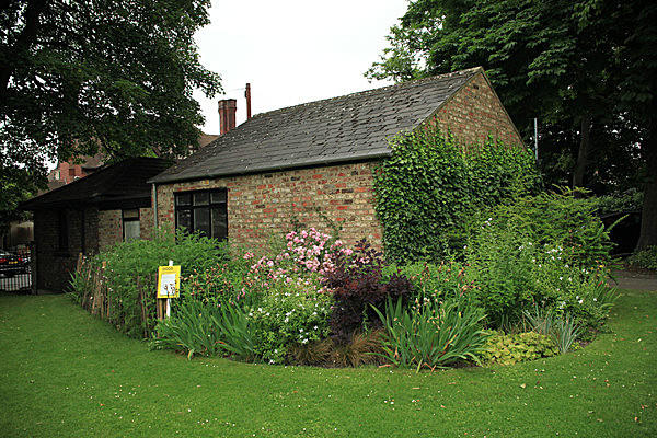 IMG_7562 - MUSEUM GARDENS