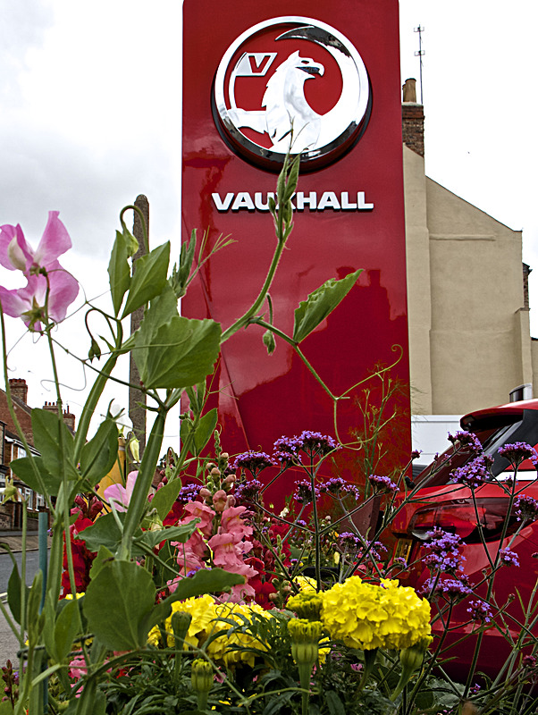 IMG_7444 - MALTON IN BLOOM 2017