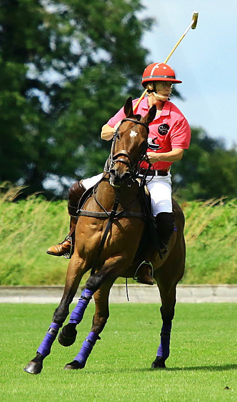 BV6R6774 - WHITE ROSE POLO CLUB LADIES DAY