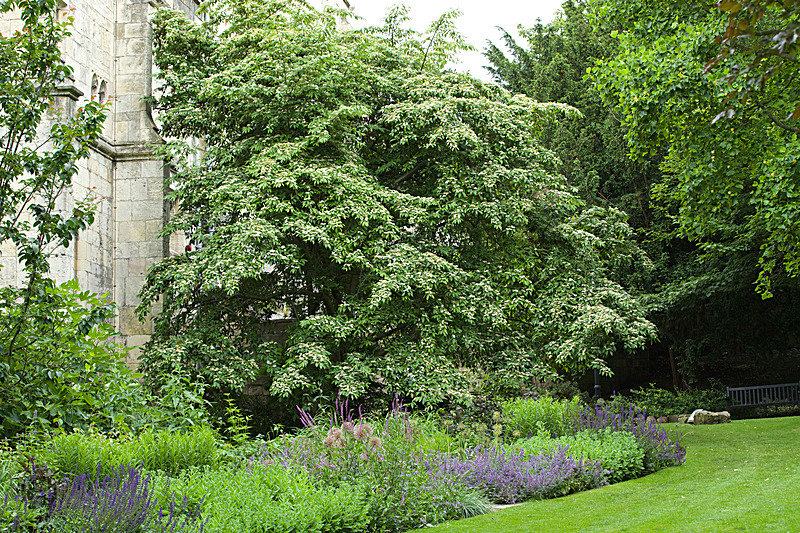 JUNE 2014-7 - FOUR SEASONS MUSEUM GARDENS