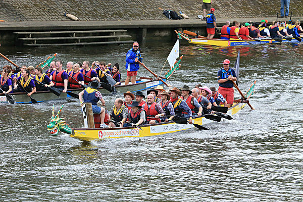IMGL6858 - DRAGON BOAT RACE 2014 York Rotary Club