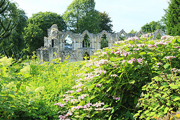 IMGL6073 - MUSEUM GARDENS