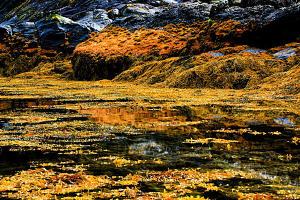 20100827_0203_2 - SCOTLAND 2010