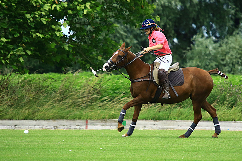 BV6R6765 - WHITE ROSE POLO CLUB LADIES DAY