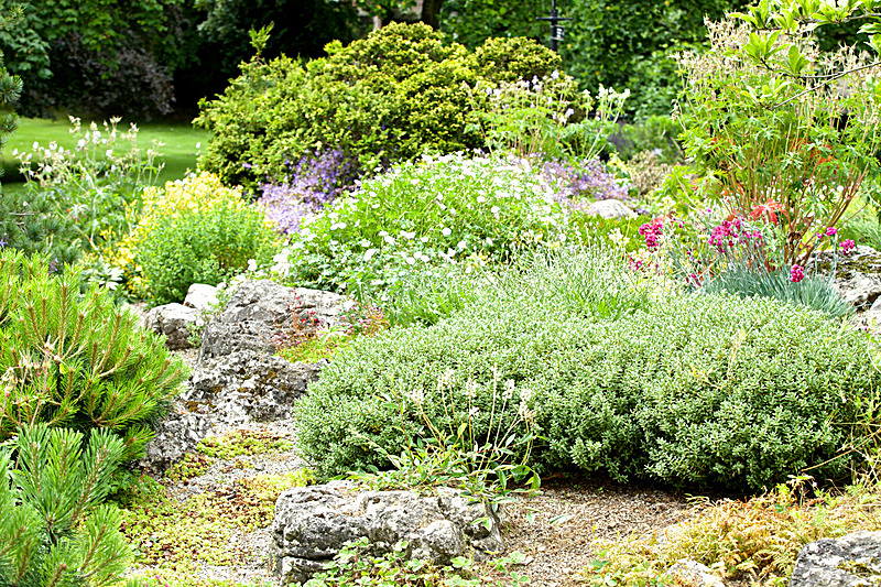 JUNE 2014-14 - FOUR SEASONS MUSEUM GARDENS