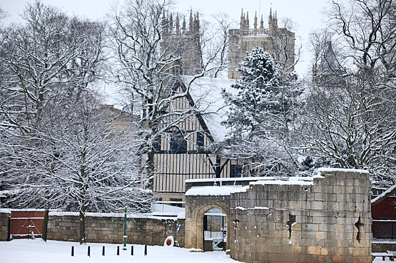 JANUARY 2010 - FOUR SEASONS MUSEUM GARDENS