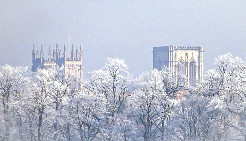 IMG_2118 MINSTER AND FROSTED TREES FROM YORK KNAVESMIRE copy 6 - PORTFOLIO 2015