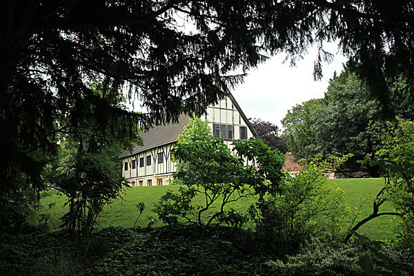 IMG_7593 - MUSEUM GARDENS