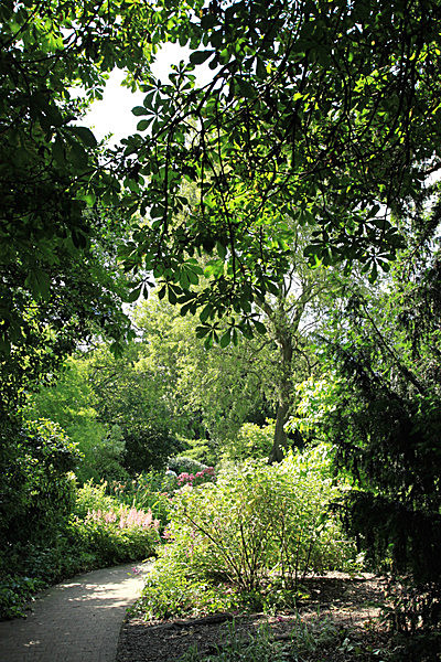IMG_8135_2 - MUSEUM GARDENS