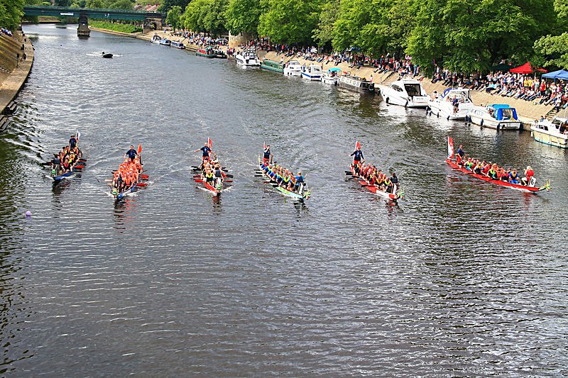 DRAGON BOAT RACE 10 July 2016 - 490 of 549 - DRAGON BOAT RACES 2016 York Rotary Club
