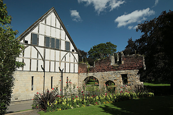 IMGL7856 - MUSEUM GARDENS