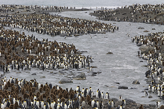  - ANTARCTICA NOV 2014