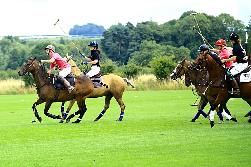 BV6R6813 - WHITE ROSE POLO CLUB LADIES DAY