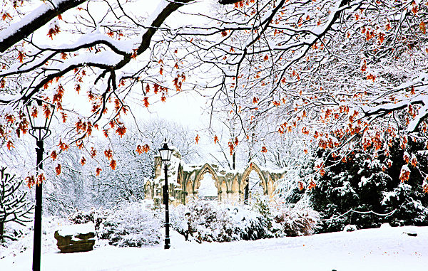IMG_8628 copy_2 - MUSEUM GARDENS