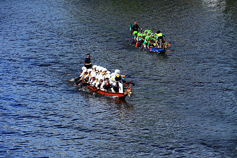 BV6R4394 - DRAGON BOAT RACE 2017